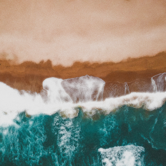 Image representing Daniel Sandoval